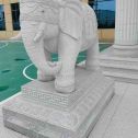 汕头 白麻花岗岩动物异形石雕-大象