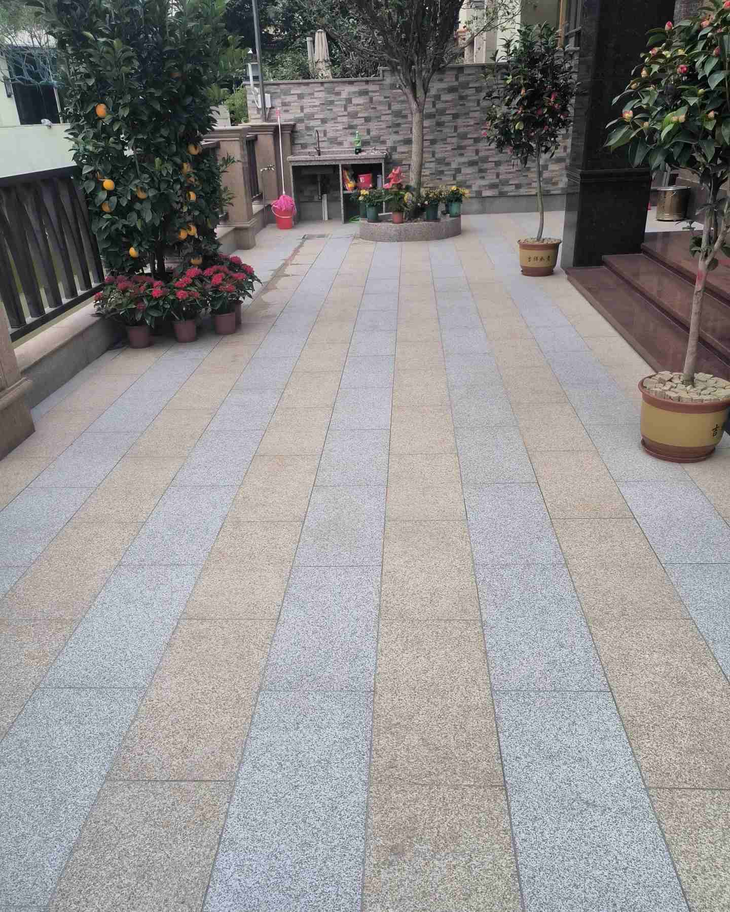 汕头 黄金麻白麻荔枝面庭院铺装展示